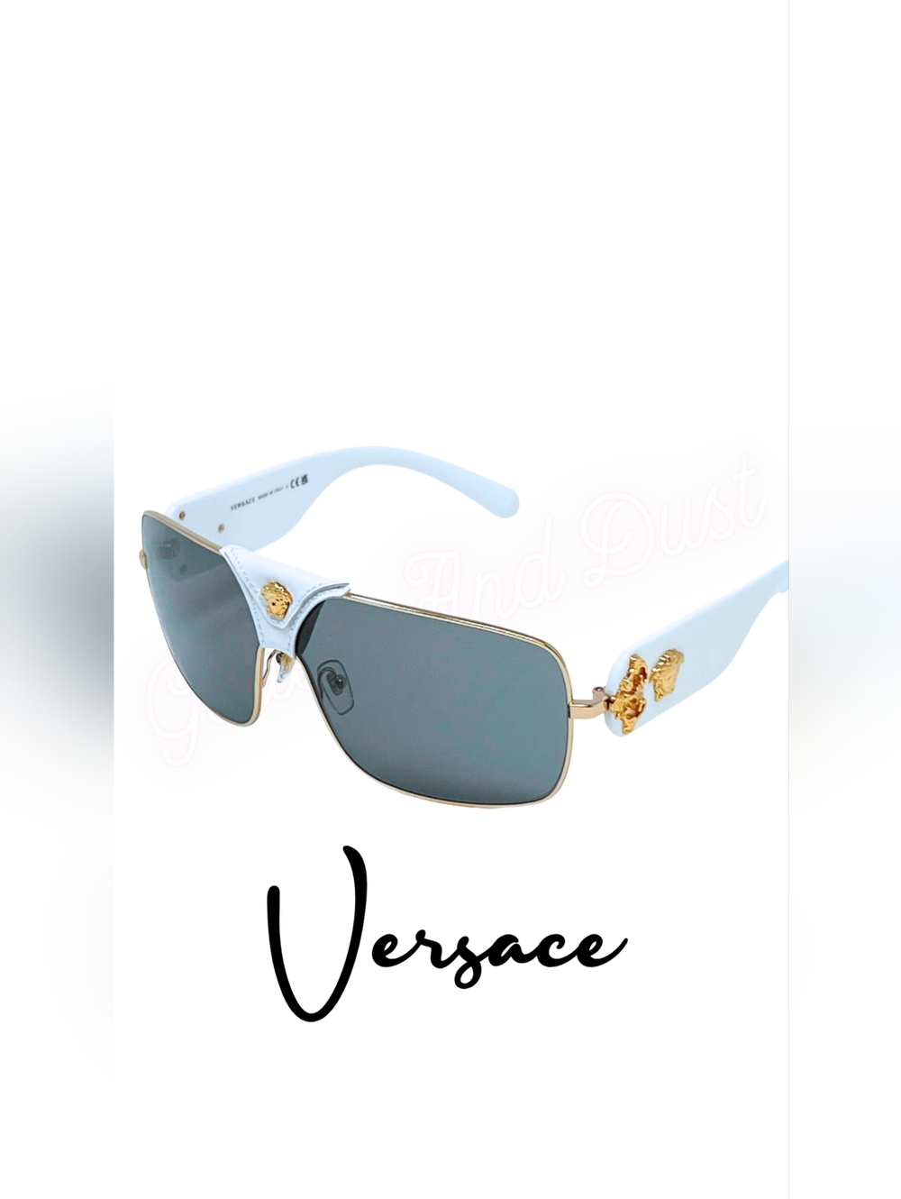 Versace Authentic Medusa VE2207Q Sunglasses